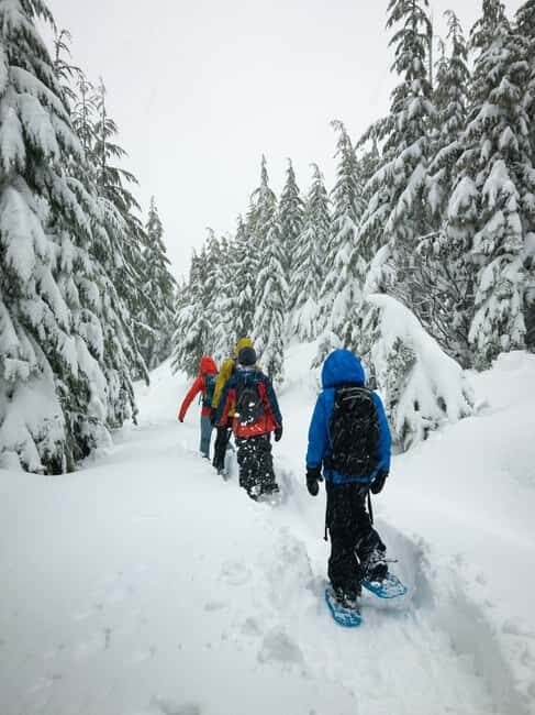 Chamonix: Snowshoe Walk Under the Stars with a Private Guide - How the Tour Works – The Details