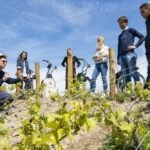 Champagne: E-Bike Champagne Day Tour with Tastings and Lunch - The Value of the Tour