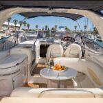 Champagne evening tour to ponta da piedade with drinks &tapas - Who Is This Tour Perfect For?