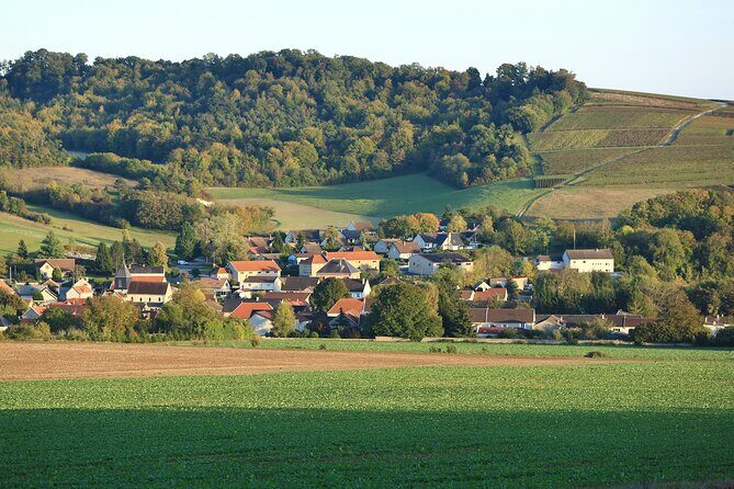 Champagne Guy De Chassey : Premium Tour and Tasting - Who would love this tour?