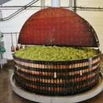 Champagne Guy De Chassey: Traditional Tour & Tasting - The Value of This Tour