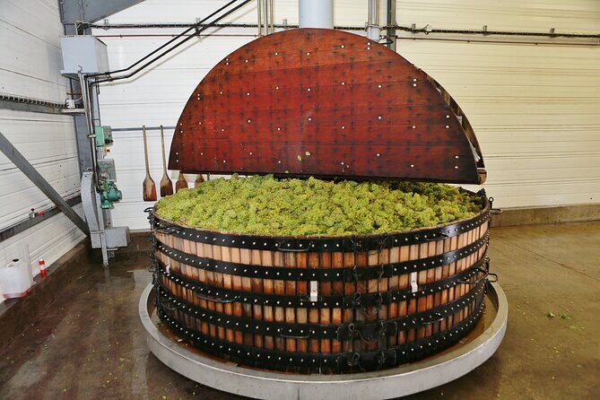 Champagne Guy De Chassey: Traditional Tour & Tasting - The Value of This Tour