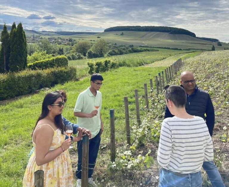 Champagne Munoz Bruneau : Half Day Visit and Tasting - The Sum Up: Is It Right for You?