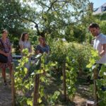 Champagne Tasting Class and Lunch near Epernay - Practical Tips