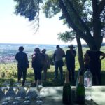 Champagne tasting, panoramic walk in the vineyards - A Close Look at the Tour Experience