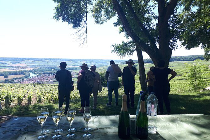 Champagne tasting, panoramic walk in the vineyards - A Close Look at the Tour Experience