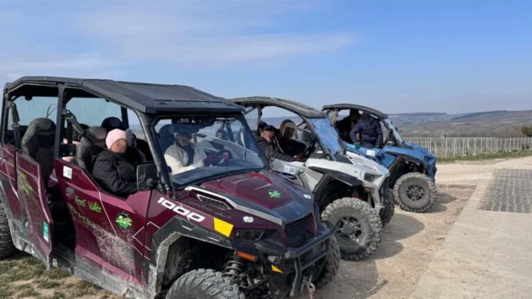 Champagne vineyards: 2-hour guided tour of the vineyards in a Buggy - How the Tour Works: From Meeting Vincent to Tasting Champagne