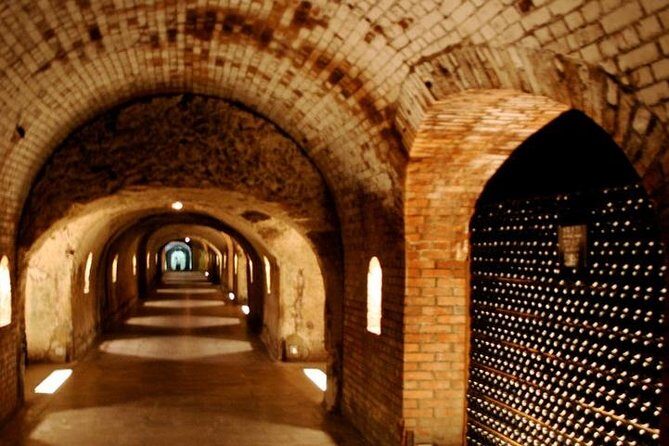 Champagne VIP Day Trip from Paris With Local PRIVATE Wine Expert Guide - What Do People Say?