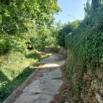 Chania: 5-Wine Tasting with Locals in Village near Kissamos - The Itinerary and What to Expect