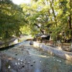 Chania: 7 Apokoronas Villages Private Day Trip with a local - Details on Transportation and Flexibility