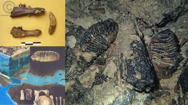 Chania: Diving Trips for Certified Divers - The Experience: What It’s Like