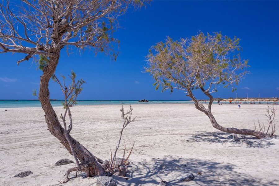 Chania: Elafonisi and Milia Mountain with Loungers and Lunch - Starting the Day: Pickup and Journey