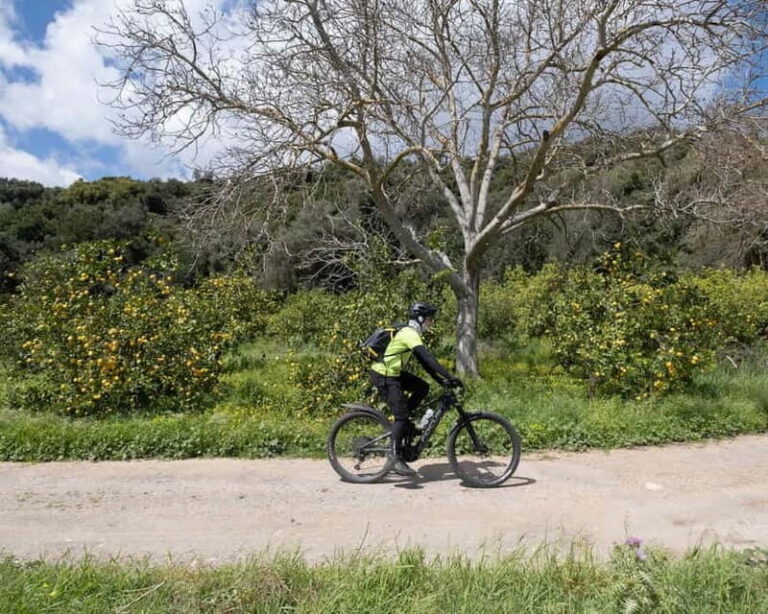 Chania: Electric Mountain Bike Tour - Who Is This Tour Best For?