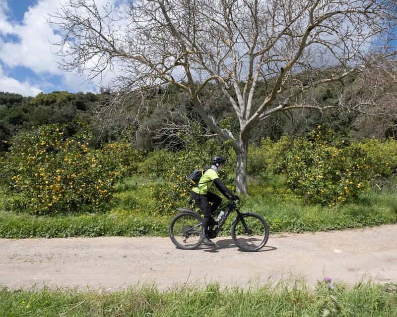 Chania: Electric Mountain Bike Tour - Who Is This Tour Best For?
