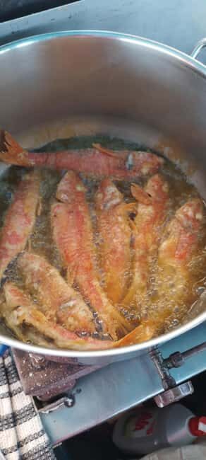 Chania Fishing with Nets: Catch&Cook with a Local Fisherman - Who Is This Tour Best For?