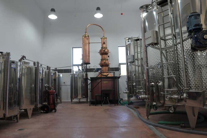 Chania: Full-Day Vineyard & Winery Private Tour w/ Tastings - The Experience’s Strengths and Considerations