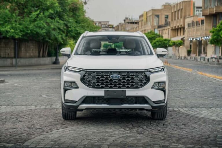 Chania Olive Tour: 3,000-Year-Old Tree, Museum &Organic Mill - The Realities and Considerations