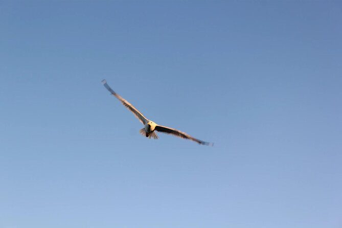 Chania Pink Beaches Private Tour: Elafonisi & Falassarna - The Itinerary Breakdown