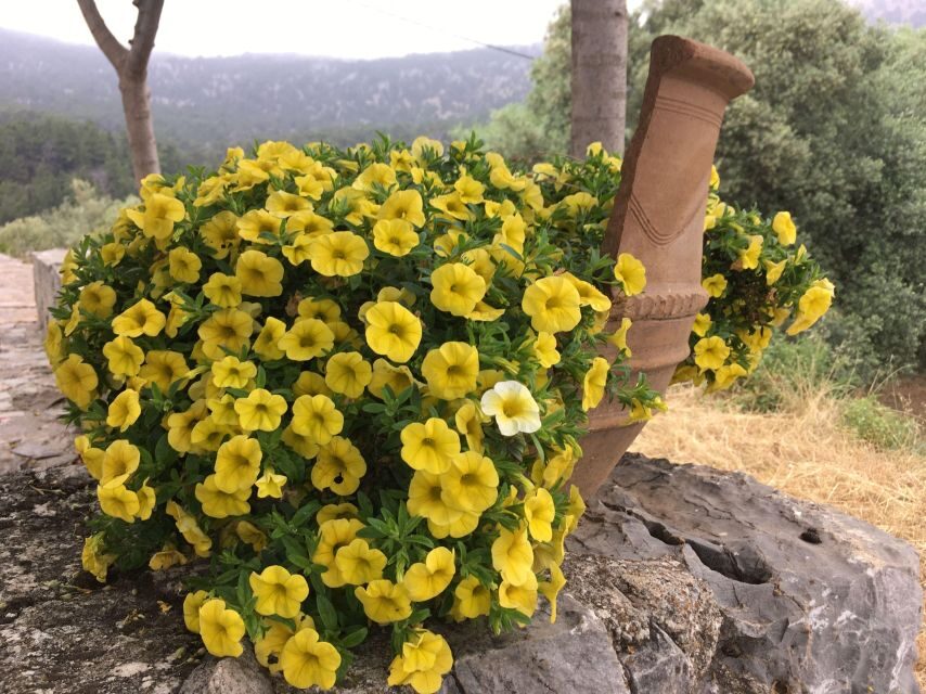 Chania Pink Sand Beaches Private Tour: Elafonisi & Falasarna - Who This Tour Fits Best