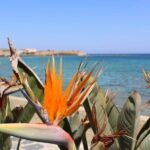 Chania: Private Walking Tour: History, Sights, Food & Senses - Who Will Love This Tour?