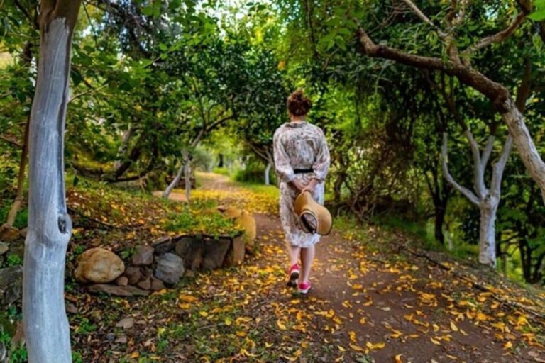 Chania Safari & Botanical Garden  Nature & Aromas Tour - The Itinerary in Detail