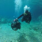 Chania: Scuba Diving for Beginners - The Practical Details: What You Can Expect