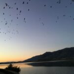 Chania to the Lakes of Crete: Private tour to Aqua Paradise - The Value of the Tour