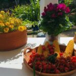 Chania White Mountains Private Tour: From Sea to Summit! - High Altitude Views at Lefka Ori