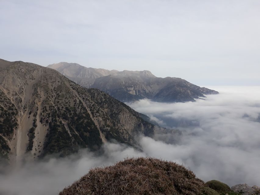 Chania: White Mountains Safari Tour with Lunch and Tastings - Exploring the Itinerary in Detail