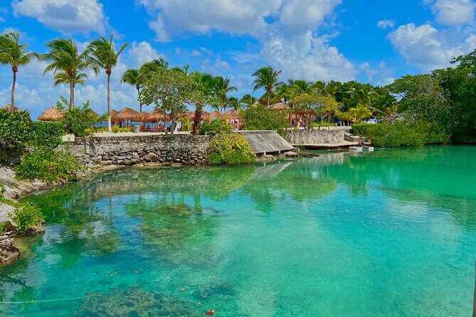 Chankanab Park Admission +Open bar +Lunch included +Snorkeling - The Itinerary in Detail