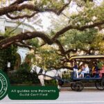 Charleston Horse-Drawn Carriage Tour: Explore Historic Charleston - Authentic Experiences from Real Travelers