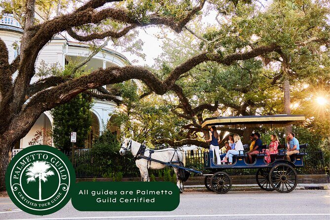 Charleston Horse-Drawn Carriage Tour: Explore Historic Charleston - Authentic Experiences from Real Travelers