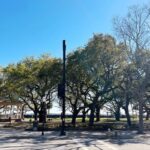 Charleston in Comfort: A Small Group City Tour with Sprinter Van - Who Will Love This Tour?