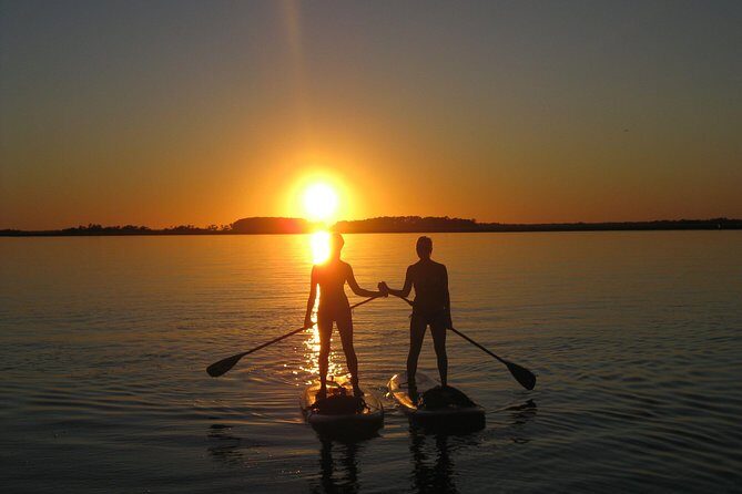 Charleston Stand-Up Paddleboard Eco Tour - The Logistics: What to Expect