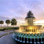 Charleston Water Taxi Cruise with Dolphin Sighting - The Real Value of the Water Taxi