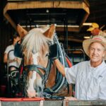 Charlestons Old South Carriage Historic Horse & Carriage Tour - What Do Travelers Say?