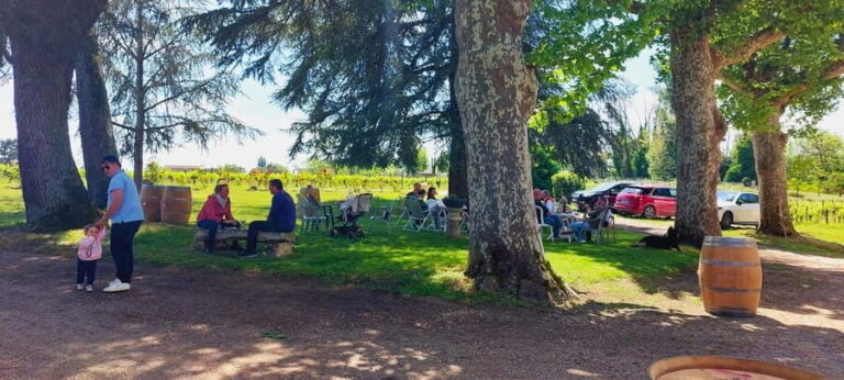 Château Cantelaube: tour and tasting at an unusual wine estate - The Practical Details