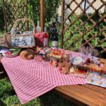Château Champion: Picnic at the winemaker's - How the Experience Is Structured
