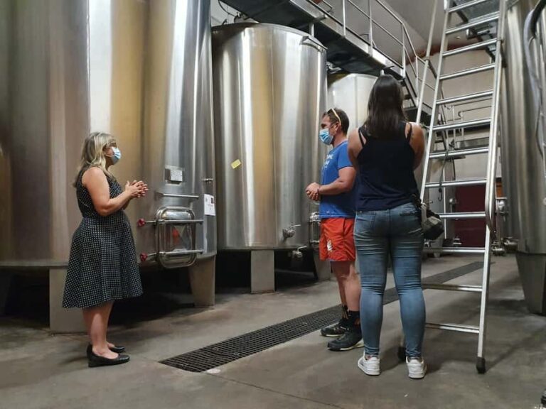 Château Champion: Prestige Tour "Terroirs and Vintages" - The Experience Itself