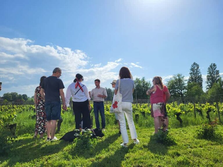 Château Champion: Tour and tasting with tapas - What to Expect During the Tour