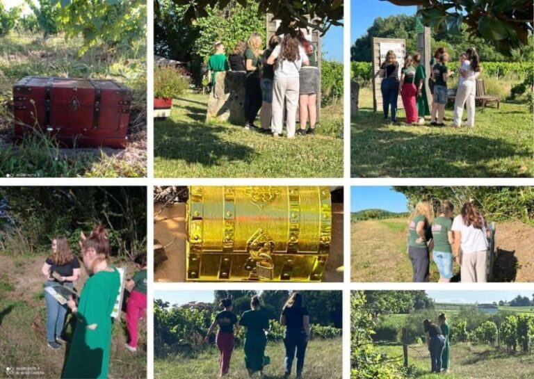 Château Champion: Treasure hunt in the vineyard - The Value of This Experience