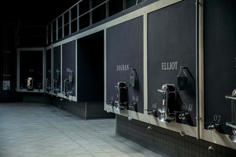 Château de Fieuzal: discover a family Grand Cru Classé in a small group - The Tour Itself: A Close Look at Bordeaux’s Vineyard and Winemaking