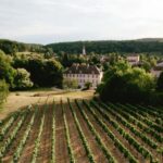 Château de Tavannes: a guided tour of the outdoor estate and the basements - The wine-making connection