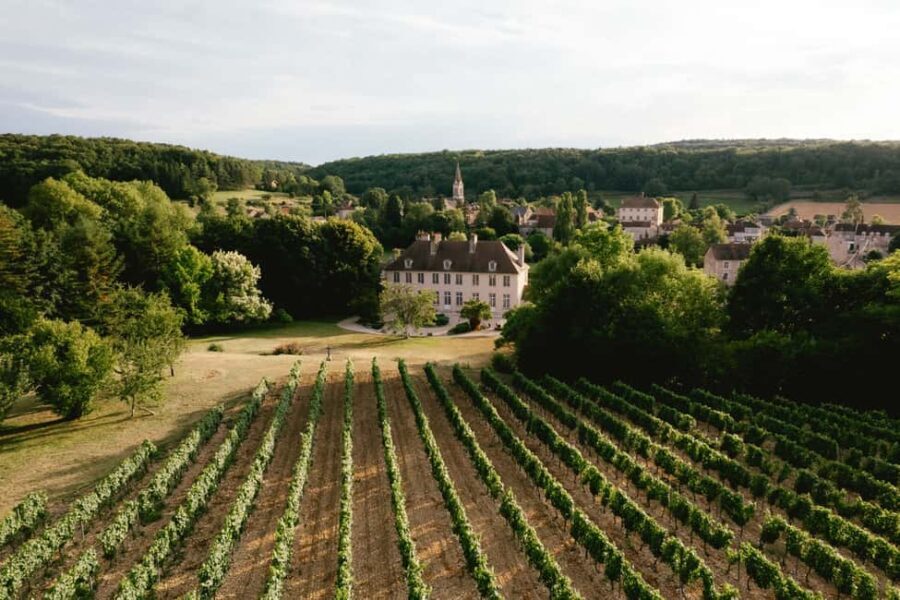 Château de Tavannes: a guided tour of the outdoor estate and the basements - The wine-making connection