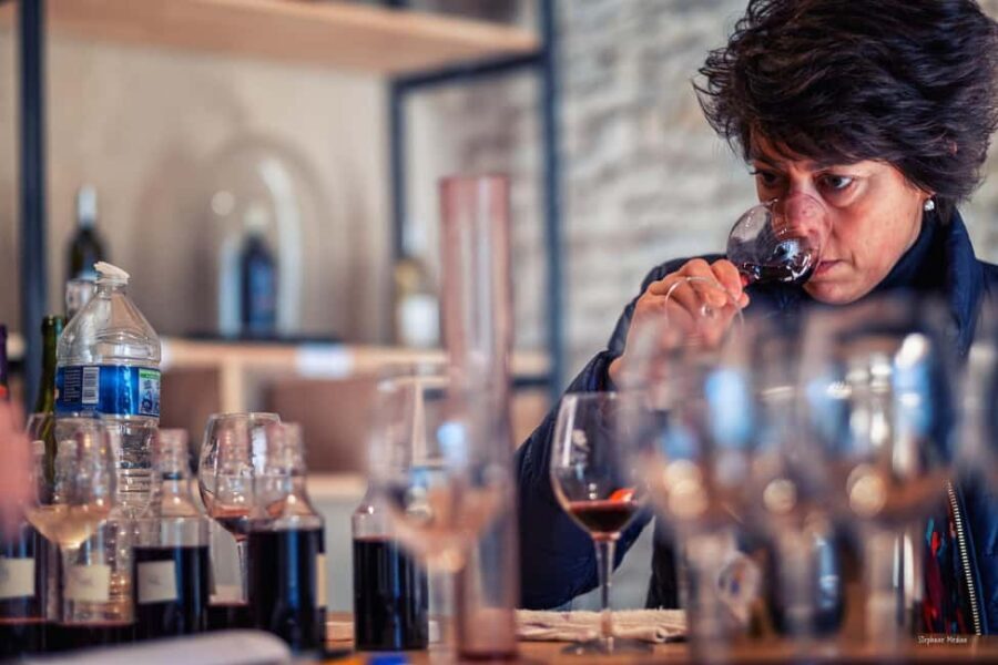 Château de Terride: tour of the wine cellar & wine tasting - The Setting and Atmosphere