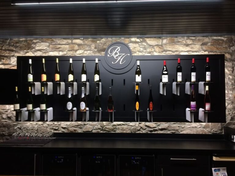 Château du Bois-Huaut: Cellar Tour and Wine Tasting Class - The Wines and Tasting Experience