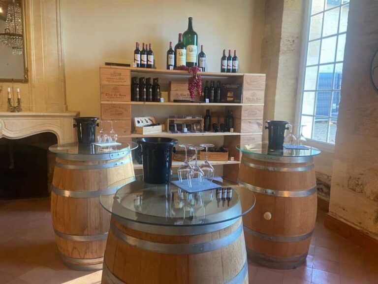 Château St-Emilion Grand Cru visit and Grand Cru and Pomerol tasting - What You Can Expect: A Deep Dive into Bordeaux Wines
