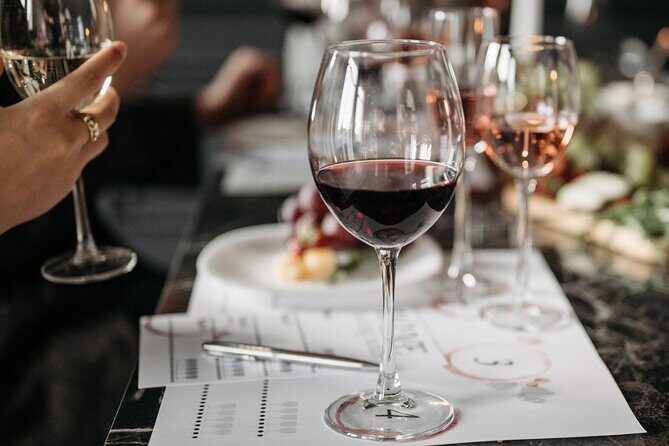 Chateauneuf du Pape and Luberon vineyard tour from Avignon - The Practicalities: What to Expect