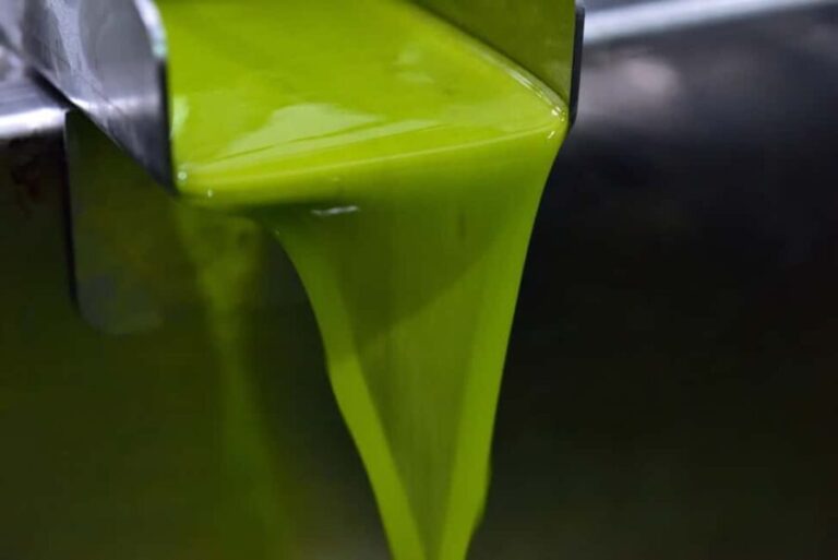 Check out an oil mill and enjoy a tasting with snacks and wine pairing - Who Will Love This?