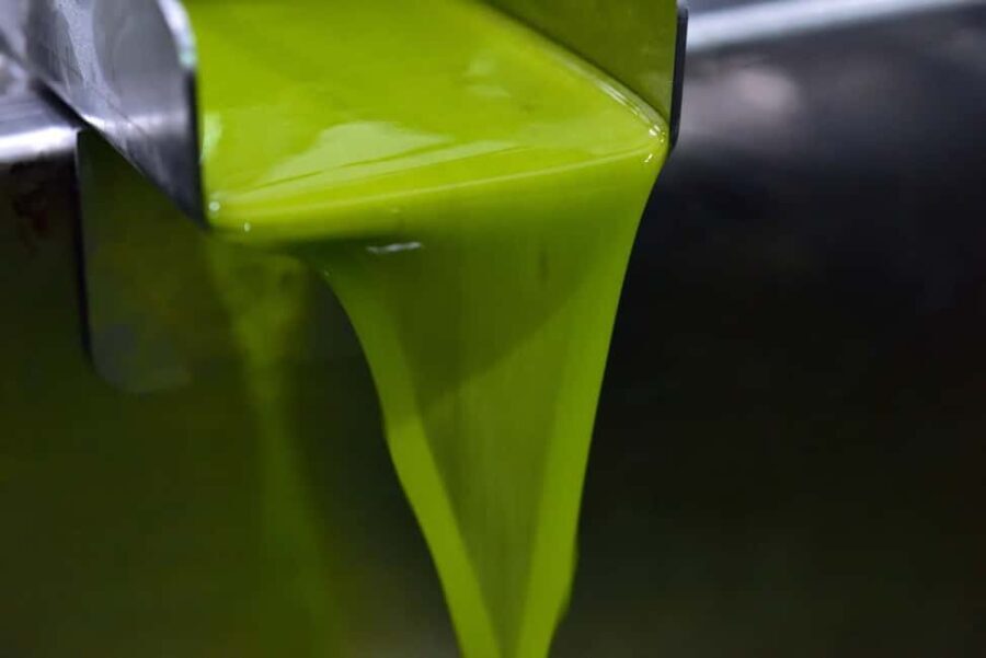 Check out an oil mill and enjoy a tasting with snacks and wine pairing - Who Will Love This?